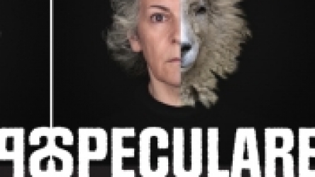 SPECULARE