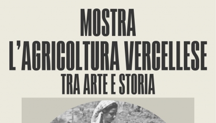 L'agricoltura vercellese
